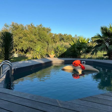 Cabane Le Flamant Avec Jardin, Piscine Et Parking Saintes-Maries-de-la-Mer Dış mekan fotoğraf
