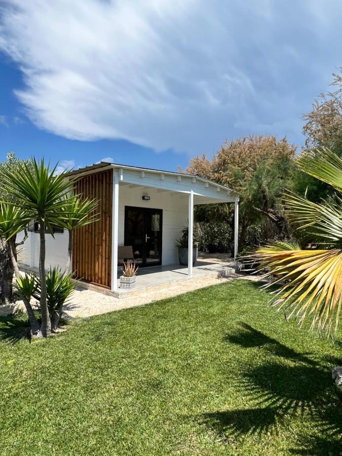 Cabane Le Flamant Avec Jardin, Piscine Et Parking Saintes-Maries-de-la-Mer Dış mekan fotoğraf