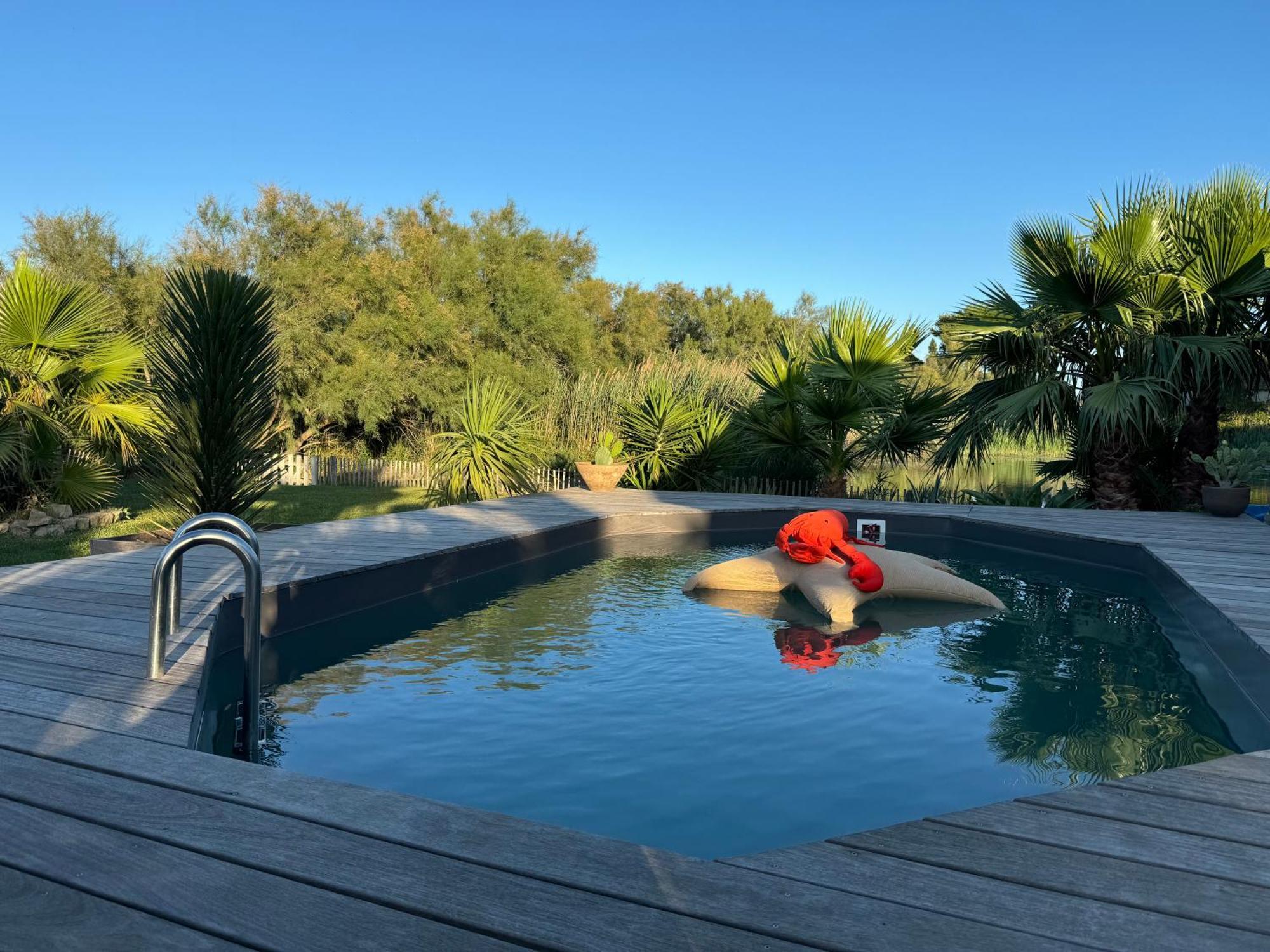 Cabane Le Flamant Avec Jardin, Piscine Et Parking Saintes-Maries-de-la-Mer Dış mekan fotoğraf